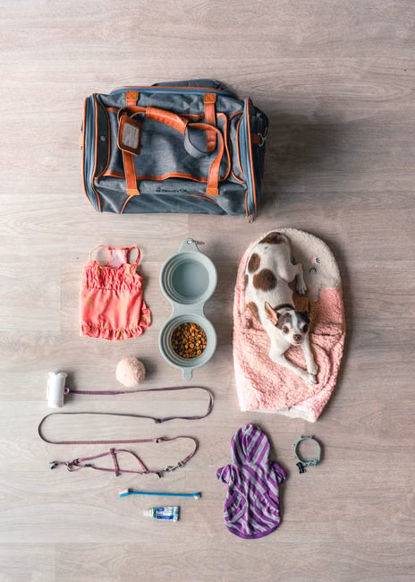 Bolsa Canguru para Pets